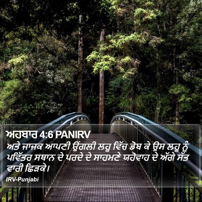 ਅਹਬਾਰ 4:6 PANIRV Bible Verse Image