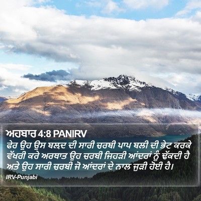 ਅਹਬਾਰ 4:8 PANIRV Bible Verse Image