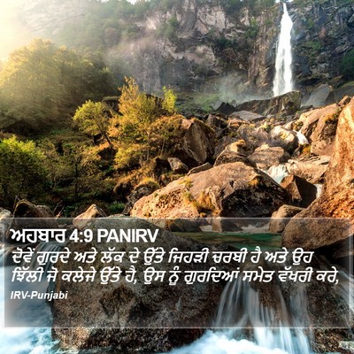 ਅਹਬਾਰ 4:9 PANIRV Bible Verse Image