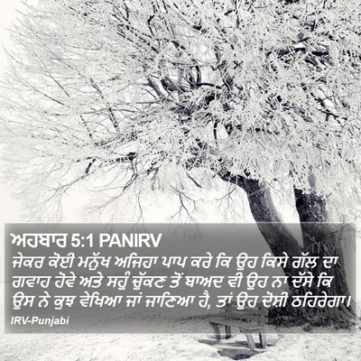 ਅਹਬਾਰ 5:1 PANIRV Bible Verse Image