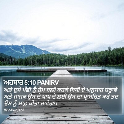 ਅਹਬਾਰ 5:10 PANIRV Bible Verse Image