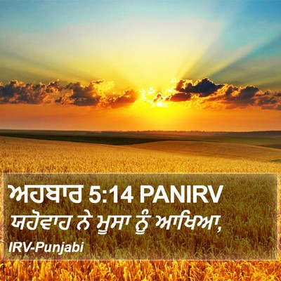 ਅਹਬਾਰ 5:14 PANIRV Bible Verse Image