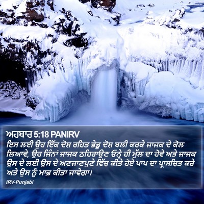ਅਹਬਾਰ 5:18 PANIRV Bible Verse Image