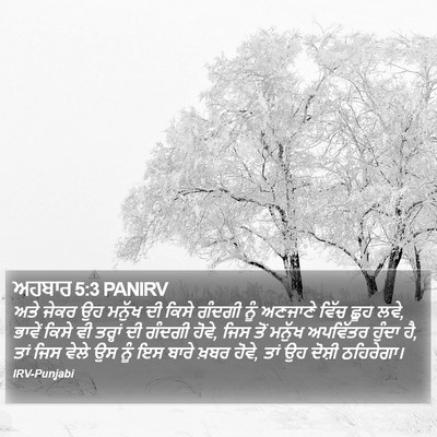 ਅਹਬਾਰ 5:3 PANIRV Bible Verse Image