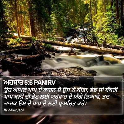 ਅਹਬਾਰ 5:6 PANIRV Bible Verse Image