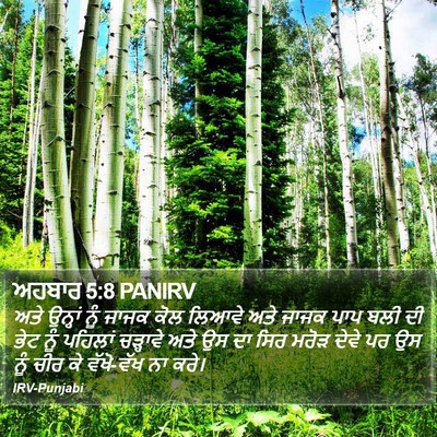 ਅਹਬਾਰ 5:8 PANIRV Bible Verse Image