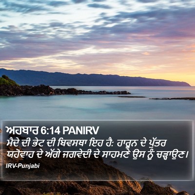 ਅਹਬਾਰ 6:14 PANIRV Bible Verse Image