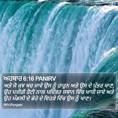 ਅਹਬਾਰ 6:16 PANIRV Bible Verse Image