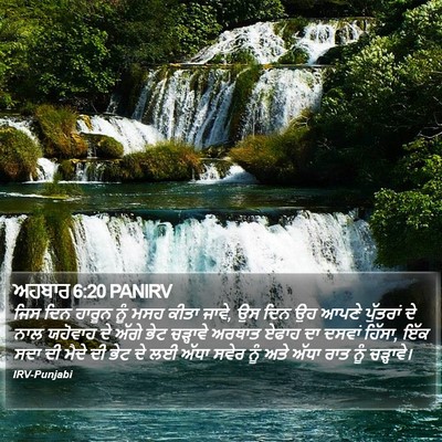 ਅਹਬਾਰ 6:20 PANIRV Bible Verse Image