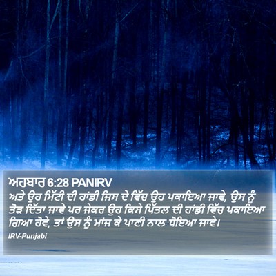 ਅਹਬਾਰ 6:28 PANIRV Bible Verse Image
