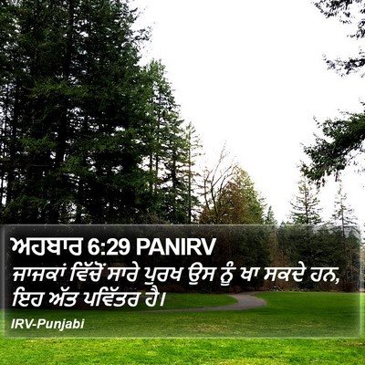 ਅਹਬਾਰ 6:29 PANIRV Bible Verse Image