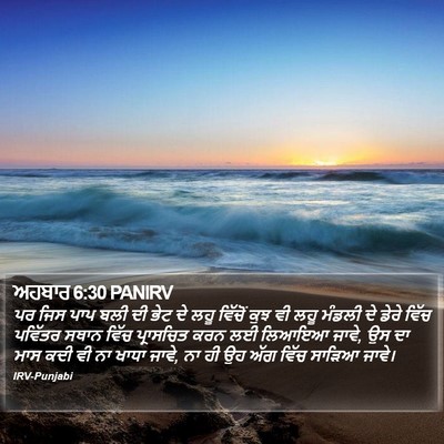 ਅਹਬਾਰ 6:30 PANIRV Bible Verse Image