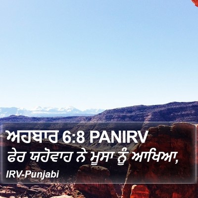 ਅਹਬਾਰ 6:8 PANIRV Bible Verse Image