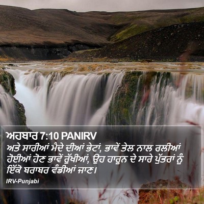 ਅਹਬਾਰ 7:10 PANIRV Bible Verse Image