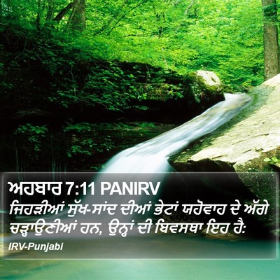 ਅਹਬਾਰ 7:11 PANIRV Bible Verse Image