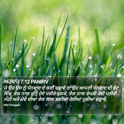 ਅਹਬਾਰ 7:12 PANIRV Bible Verse Image