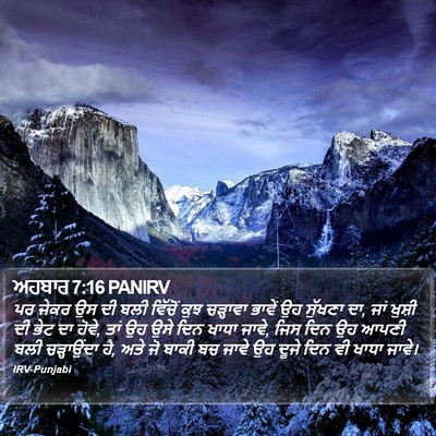 ਅਹਬਾਰ 7:16 PANIRV Bible Verse Image