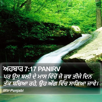 ਅਹਬਾਰ 7:17 PANIRV Bible Verse Image