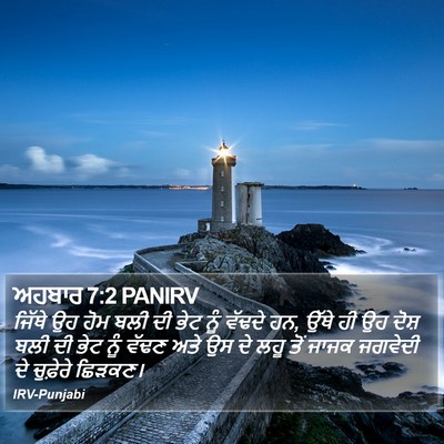 ਅਹਬਾਰ 7:2 PANIRV Bible Verse Image
