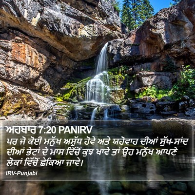 ਅਹਬਾਰ 7:20 PANIRV Bible Verse Image