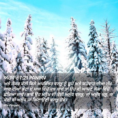 ਅਹਬਾਰ 7:21 PANIRV Bible Verse Image