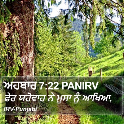 ਅਹਬਾਰ 7:22 PANIRV Bible Verse Image