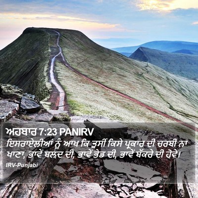 ਅਹਬਾਰ 7:23 PANIRV Bible Verse Image