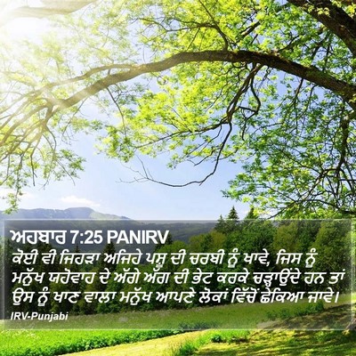 ਅਹਬਾਰ 7:25 PANIRV Bible Verse Image