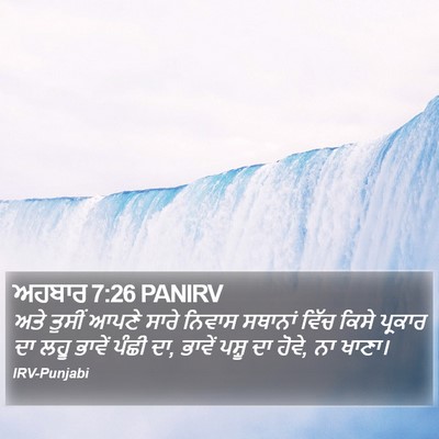 ਅਹਬਾਰ 7:26 PANIRV Bible Verse Image