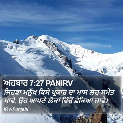 ਅਹਬਾਰ 7:27 PANIRV Bible Verse Image