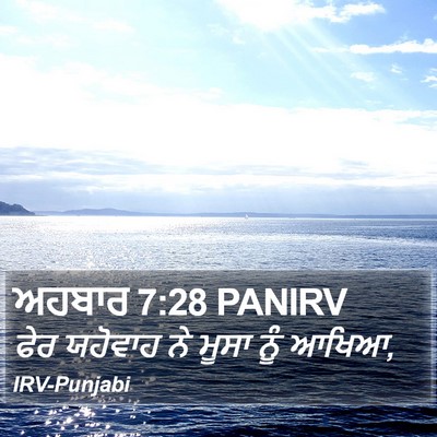 ਅਹਬਾਰ 7:28 PANIRV Bible Verse Image
