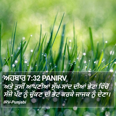 ਅਹਬਾਰ 7:32 PANIRV Bible Verse Image