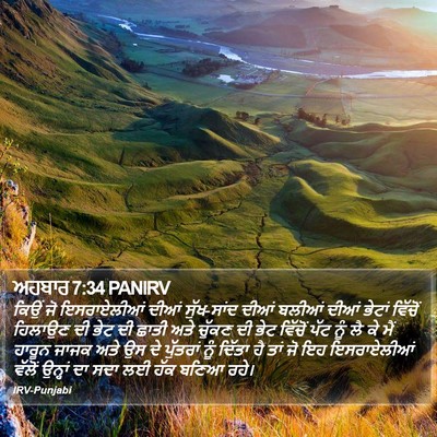 ਅਹਬਾਰ 7:34 PANIRV Bible Verse Image