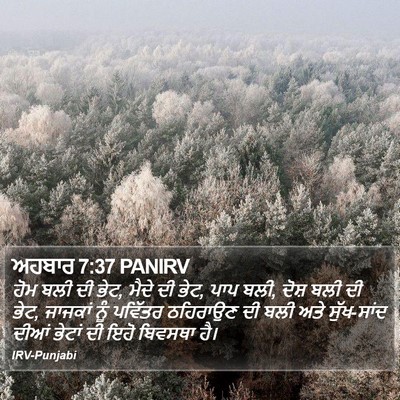 ਅਹਬਾਰ 7:37 PANIRV Bible Verse Image