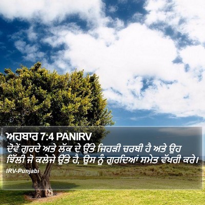 ਅਹਬਾਰ 7:4 PANIRV Bible Verse Image