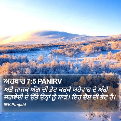 ਅਹਬਾਰ 7:5 PANIRV Bible Verse Image
