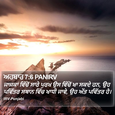 ਅਹਬਾਰ 7:6 PANIRV Bible Verse Image