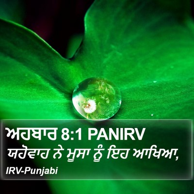 ਅਹਬਾਰ 8:1 PANIRV Bible Verse Image