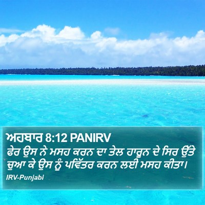 ਅਹਬਾਰ 8:12 PANIRV Bible Verse Image
