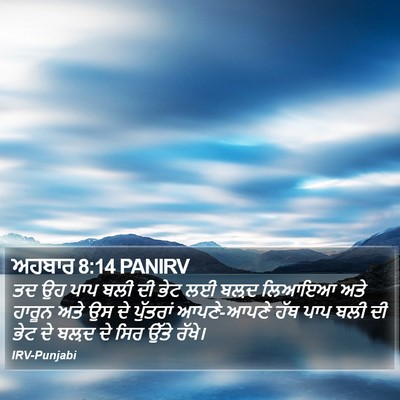 ਅਹਬਾਰ 8:14 PANIRV Bible Verse Image