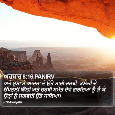 ਅਹਬਾਰ 8:16 PANIRV Bible Verse Image