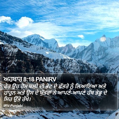 ਅਹਬਾਰ 8:18 PANIRV Bible Verse Image
