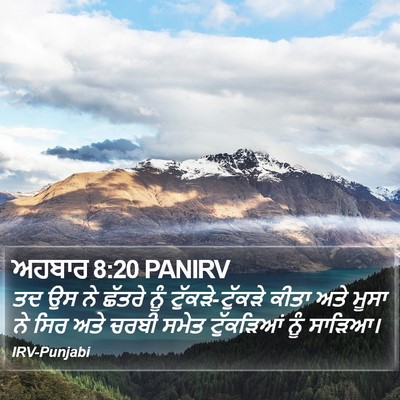 ਅਹਬਾਰ 8:20 PANIRV Bible Verse Image