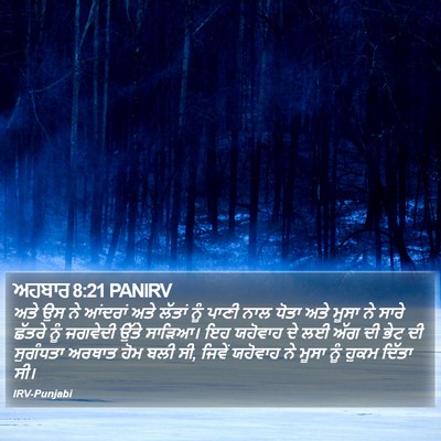 ਅਹਬਾਰ 8:21 PANIRV Bible Verse Image