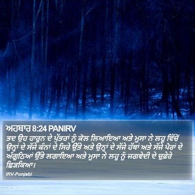 ਅਹਬਾਰ 8:24 PANIRV Bible Verse Image
