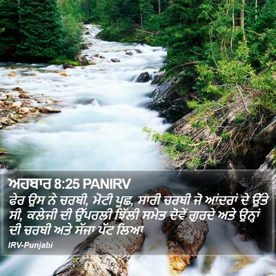 ਅਹਬਾਰ 8:25 PANIRV Bible Verse Image