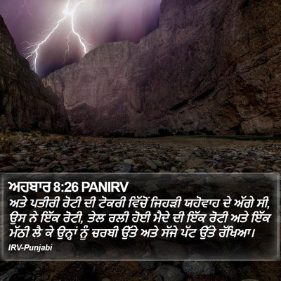 ਅਹਬਾਰ 8:26 PANIRV Bible Verse Image