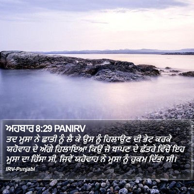 ਅਹਬਾਰ 8:29 PANIRV Bible Verse Image