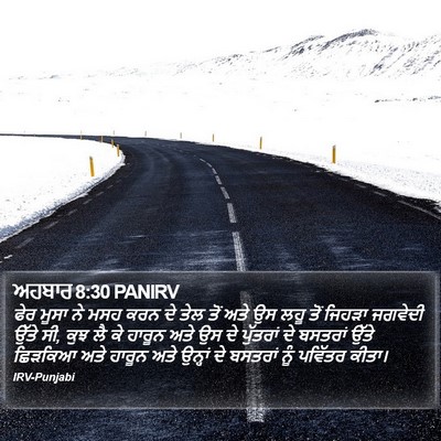 ਅਹਬਾਰ 8:30 PANIRV Bible Verse Image