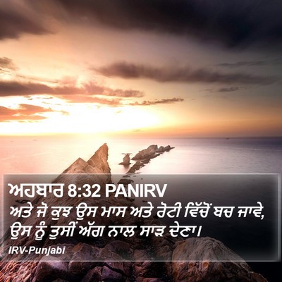 ਅਹਬਾਰ 8:32 PANIRV Bible Verse Image